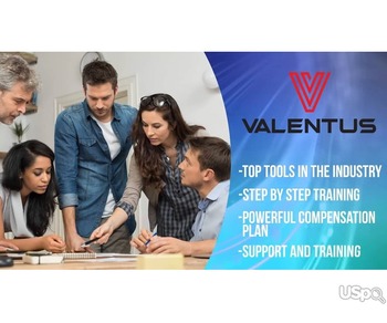 Компания Valentus. Продвижение онлайн магазина.