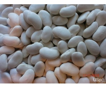 Bulk sell beans from Kyrgyzstan, 