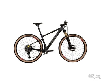 2025 Caloi ELITE CARBON TEAM Mountain Bike (CENTRACYCLES)