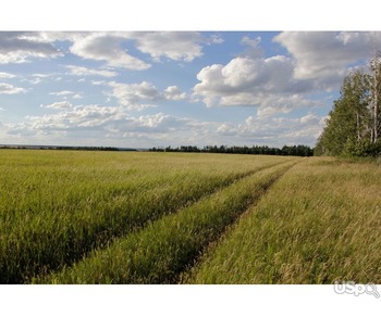 sale of land for farming in Russia