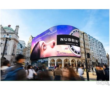 NUBBIN - new reality