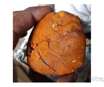 Buy cow /Ox Gallstone Available On Stock Now
