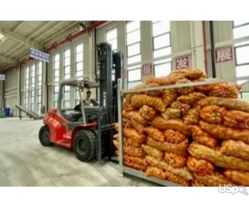 Fresh Potato New Crop Vegetables Wholesale Potato Prices for Export Fresh